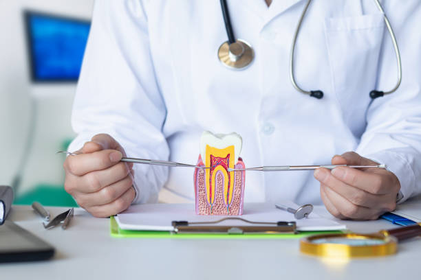 Best Emergency Root Canal Treatment in Williamstown, KY